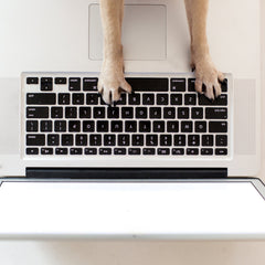 Collection image for: Pet Supplements