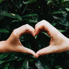 Collection image for: Staff Picks